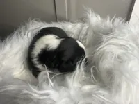 processed/f6932189-6830-41a2-9d90-f3de301c9205/listing/833e6c57-20a9-4836-bc96-1c1ce9a7c089/e480b539-5db4-4c30-8704-664411d7109e