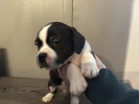 processed/f6932189-6830-41a2-9d90-f3de301c9205/listing/833e6c57-20a9-4836-bc96-1c1ce9a7c089/e6029f8d-3ad0-41be-9777-05edbad706dc