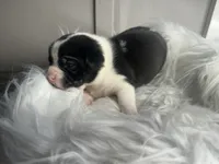 processed/f6932189-6830-41a2-9d90-f3de301c9205/listing/a60df064-85d8-4808-8bdf-25915aaf7093/3a02a392-46b3-4a36-a7a3-f34799f26ae0