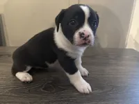 processed/f6932189-6830-41a2-9d90-f3de301c9205/listing/a60df064-85d8-4808-8bdf-25915aaf7093/9321371d-1e9b-41e4-a9e4-a1bfd6bf6c58