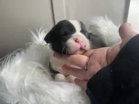 processed/f6932189-6830-41a2-9d90-f3de301c9205/listing/a60df064-85d8-4808-8bdf-25915aaf7093/a711e129-1d17-42ab-b043-472205ab4693