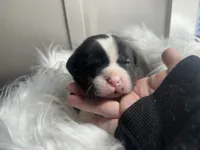 processed/f6932189-6830-41a2-9d90-f3de301c9205/listing/a60df064-85d8-4808-8bdf-25915aaf7093/f76fa346-6339-47cd-835a-0b8d681c43d9