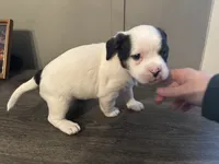 processed/f6932189-6830-41a2-9d90-f3de301c9205/listing/b49a85c0-2493-431f-bb67-f17c48bca002/5599d0f1-9943-49c2-ac7b-aab7f773ce0c