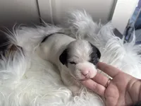 processed/f6932189-6830-41a2-9d90-f3de301c9205/listing/b49a85c0-2493-431f-bb67-f17c48bca002/8cf8d50d-d3c0-4220-9954-a9c14671ff6b