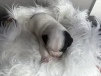 processed/f6932189-6830-41a2-9d90-f3de301c9205/listing/b49a85c0-2493-431f-bb67-f17c48bca002/9f910618-f673-4903-af89-b493366fb2c3