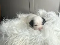 processed/f6932189-6830-41a2-9d90-f3de301c9205/listing/b49a85c0-2493-431f-bb67-f17c48bca002/d21a1ed7-cd30-4e64-852e-e2d04de19215