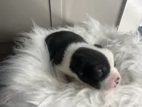 processed/f6932189-6830-41a2-9d90-f3de301c9205/listing/d02de834-fc52-42cc-a995-4f714bca357a/2aa00c70-a87d-4bf6-82d5-ccfb4fb542b6