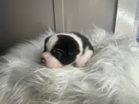 processed/f6932189-6830-41a2-9d90-f3de301c9205/listing/d02de834-fc52-42cc-a995-4f714bca357a/431cbf52-9425-4dec-8540-f3efe9f9afb2