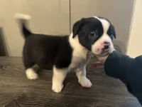 processed/f6932189-6830-41a2-9d90-f3de301c9205/listing/d02de834-fc52-42cc-a995-4f714bca357a/53888920-25ad-4a14-875b-a26f1151bf47