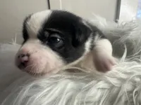 processed/f6932189-6830-41a2-9d90-f3de301c9205/listing/d02de834-fc52-42cc-a995-4f714bca357a/9b186336-1ec3-4238-9e2c-9ee939cf6ae5