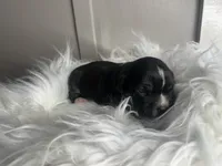 processed/f6932189-6830-41a2-9d90-f3de301c9205/listing/e75d5298-96e0-4d72-a9e2-f479280596bb/0ae616a6-061d-4ce4-8b47-248554c8a8bd