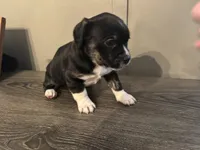 processed/f6932189-6830-41a2-9d90-f3de301c9205/listing/e75d5298-96e0-4d72-a9e2-f479280596bb/a900b505-008d-4428-b66c-7abcb00c7094