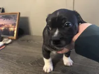 processed/f6932189-6830-41a2-9d90-f3de301c9205/listing/e75d5298-96e0-4d72-a9e2-f479280596bb/c461820a-b1ce-4439-ae82-be2d84a4c321