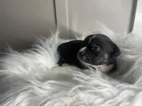 processed/f6932189-6830-41a2-9d90-f3de301c9205/listing/e75d5298-96e0-4d72-a9e2-f479280596bb/ef302f9d-1794-4eee-9f9d-6eb8d977c3d9