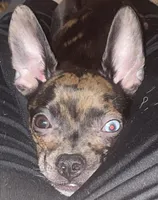 processed/f69b5f50-0591-41d6-bf21-75dfd6cc0f78/listing/b5e2750f-c5d7-4356-b1ad-4cb60bb418bf/edc96cfa-c9e0-4565-b8c5-f42a5ffe1ab5