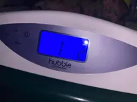 Razzle, a female French Bulldog and Chihuahua for sale in Gettysburg, PA – Photo 7 of 8