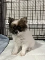 processed/f6a22ad3-ef0c-48fa-b92b-244c04ebdb94/listing/165599a5-cb19-4255-ad77-0629d2f6041a/add470cd-2a3a-45df-bd19-f8fc85e57592