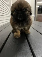 processed/f6a22ad3-ef0c-48fa-b92b-244c04ebdb94/listing/5378fa16-c370-4630-9016-e555240ad2a3/205a17e6-9ae4-4ccd-8d28-2debb7de7a91