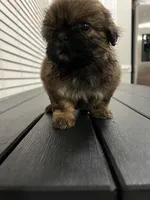 processed/f6a22ad3-ef0c-48fa-b92b-244c04ebdb94/listing/5378fa16-c370-4630-9016-e555240ad2a3/a39bab5b-aa69-4ee7-a78b-7ea5a0ae41b3