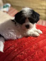 processed/f6a30fa1-ee4b-4c76-83ae-681a8ff65169/listing/1e20b370-c9c3-4874-957d-ed2a2241efd8/8cde7934-1e11-496d-ae5a-d82b209c8163