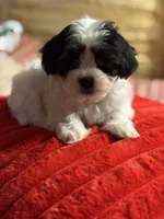 processed/f6a30fa1-ee4b-4c76-83ae-681a8ff65169/listing/1e20b370-c9c3-4874-957d-ed2a2241efd8/b8a822e6-4b57-4f1c-8dbd-009fef4b7bda