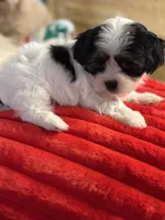 processed/f6a30fa1-ee4b-4c76-83ae-681a8ff65169/listing/1e20b370-c9c3-4874-957d-ed2a2241efd8/d87a1d7e-a475-468a-9c8c-a0bf15d46e82