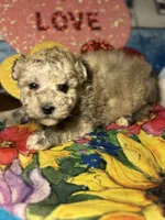 processed/f6a30fa1-ee4b-4c76-83ae-681a8ff65169/listing/4df01add-721d-4472-86ba-c6e23d42256a/071e20f8-c99d-4eb9-8d85-17becc0cd50f