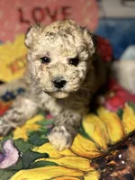 processed/f6a30fa1-ee4b-4c76-83ae-681a8ff65169/listing/4df01add-721d-4472-86ba-c6e23d42256a/42362979-97d8-4982-9b2b-307eb9b4f862