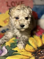 processed/f6a30fa1-ee4b-4c76-83ae-681a8ff65169/listing/4df01add-721d-4472-86ba-c6e23d42256a/626eef18-df12-4337-afc5-fb59870f27e1