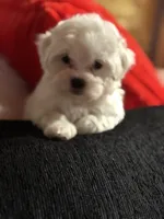 processed/f6a30fa1-ee4b-4c76-83ae-681a8ff65169/listing/78e54d0c-d269-49f1-873d-9a62d1b11998/ab3dc886-d96f-4140-8918-edda8fdf57c5