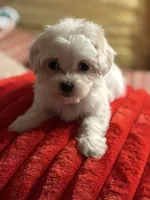 processed/f6a30fa1-ee4b-4c76-83ae-681a8ff65169/listing/78e54d0c-d269-49f1-873d-9a62d1b11998/fefa06ea-1c99-42ab-8256-fdf05bdef26b