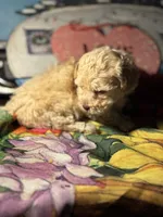 processed/f6a30fa1-ee4b-4c76-83ae-681a8ff65169/listing/a00989df-b541-4c3d-869e-08b0e190ff99/c16ef377-c9f6-4e2c-9e54-17fa7a45cdf7