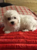 processed/f6a30fa1-ee4b-4c76-83ae-681a8ff65169/listing/c16e47bc-35b8-47f9-9402-6f3c07296a51/2fd80501-60f6-496a-9929-11a37980ad81