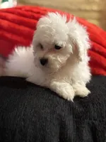 processed/f6a30fa1-ee4b-4c76-83ae-681a8ff65169/listing/c16e47bc-35b8-47f9-9402-6f3c07296a51/84f84b01-25b6-4c9a-be41-2b552d853115