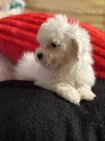 processed/f6a30fa1-ee4b-4c76-83ae-681a8ff65169/listing/c16e47bc-35b8-47f9-9402-6f3c07296a51/fa46a042-1632-4dfc-ac3d-014705f34637