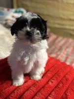 processed/f6a30fa1-ee4b-4c76-83ae-681a8ff65169/listing/f3d56caa-e365-4b49-bffc-bfaccbf139a4/0827b9be-2ee4-40db-9d33-d316e89da6b2