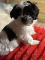 processed/f6a30fa1-ee4b-4c76-83ae-681a8ff65169/listing/f3d56caa-e365-4b49-bffc-bfaccbf139a4/3a6b9c43-1794-4932-89ab-fddd2c51ad79