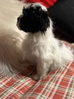 processed/f6a30fa1-ee4b-4c76-83ae-681a8ff65169/listing/f3d56caa-e365-4b49-bffc-bfaccbf139a4/4842d992-5162-413a-8e4e-e9b7f2f19889