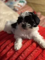 processed/f6a30fa1-ee4b-4c76-83ae-681a8ff65169/listing/f3d56caa-e365-4b49-bffc-bfaccbf139a4/e14dc119-5525-432a-a143-5c2a22811c0f