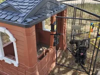 Jethro, a male English Mastiff for sale in Christoval, TX – 10 of 10