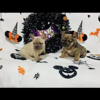 processed/f6acc25f-3255-4c8a-ab06-ec32aec6f6dd/facility/23d72a3a-d171-4117-9337-98baa2915697