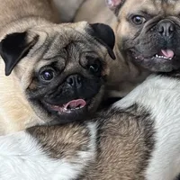 processed/f6acc25f-3255-4c8a-ab06-ec32aec6f6dd/facility/4d7a75d8-9e0d-4fca-a9d3-afb606c46dd6