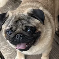 processed/f6acc25f-3255-4c8a-ab06-ec32aec6f6dd/facility/57c401fd-976b-4d26-8092-12fabb5bedda