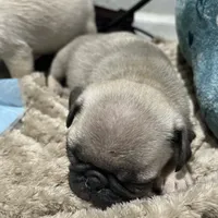 processed/f6acc25f-3255-4c8a-ab06-ec32aec6f6dd/facility/77e9efda-e933-48ad-8e04-1ee5d22cbc3c