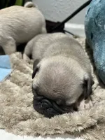 processed/f6acc25f-3255-4c8a-ab06-ec32aec6f6dd/facility/77e9efda-e933-48ad-8e04-1ee5d22cbc3c