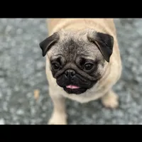 processed/f6acc25f-3255-4c8a-ab06-ec32aec6f6dd/facility/9df20da1-6af4-4336-b178-5c0437a66875