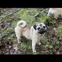 processed/f6acc25f-3255-4c8a-ab06-ec32aec6f6dd/facility/b9afadc8-ba66-46c6-9a78-1e944785528b