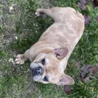 processed/f6acc25f-3255-4c8a-ab06-ec32aec6f6dd/facility/e9472240-0344-45e0-b7d9-98074883f79c