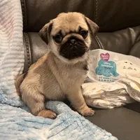 processed/f6acc25f-3255-4c8a-ab06-ec32aec6f6dd/facility/e993179b-2192-44ae-8eef-57f373b68ddd