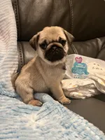 processed/f6acc25f-3255-4c8a-ab06-ec32aec6f6dd/facility/e993179b-2192-44ae-8eef-57f373b68ddd